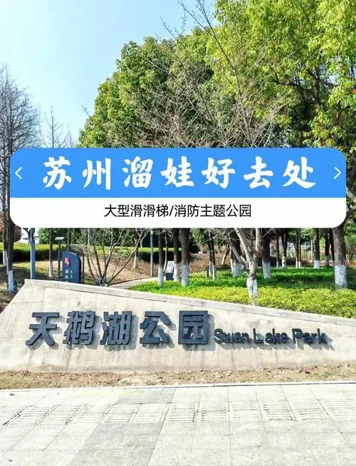 苏州天鹅湖公园:亲子游的完美选择 🌳
