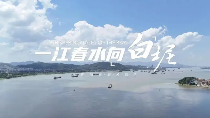 纪录片《一江春水向白坭》
