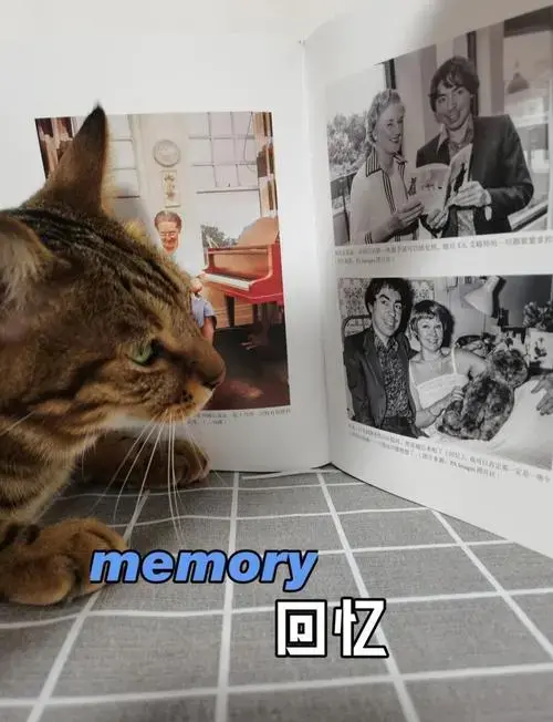 英国猫奴作曲家创作《猫》音乐剧