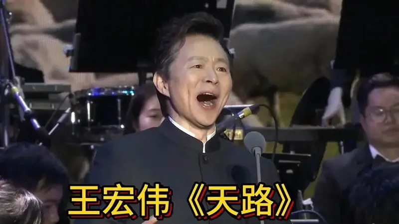 王宏伟演唱《天路》现场版
