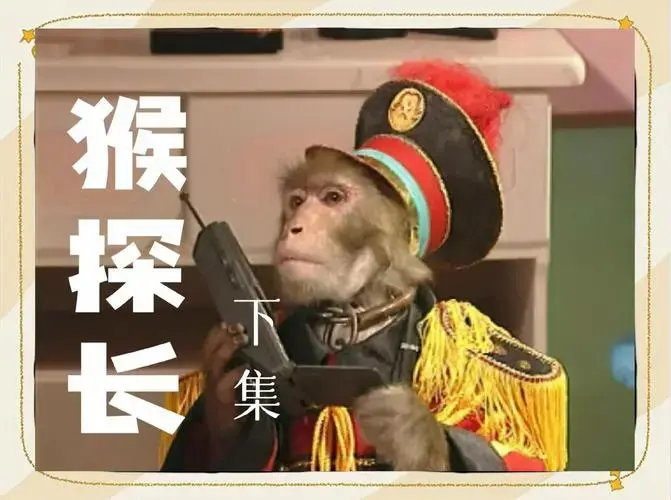 🐼🔍 80年代儿童剧《动物王国大冒险》