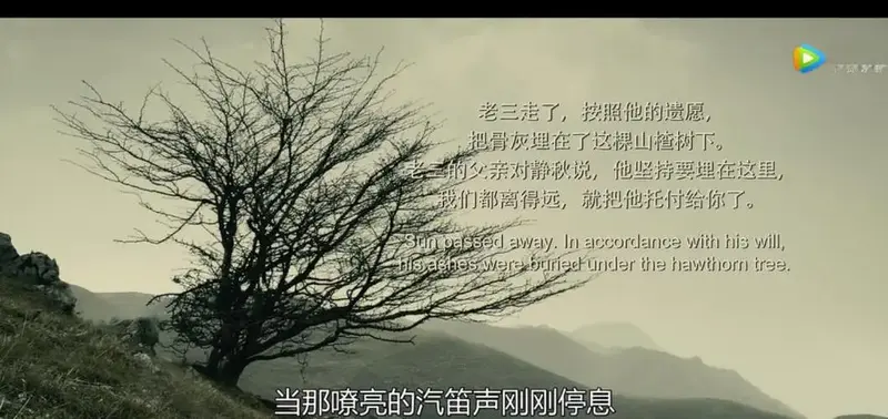 《山楂树之恋》的凄美爱情故事 💔