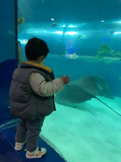 苏州海洋馆