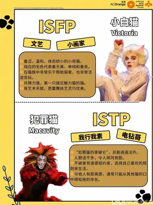 《猫》cats音乐剧角色mbti大全!