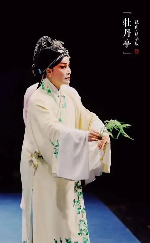 豆瓣9.3高分好剧,省昆精华版《牡丹亭》首次来成都,下周开演!