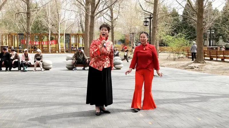 女声独唱陕北民歌《山丹丹开花红艳艳》,北京炫之梦歌舞团