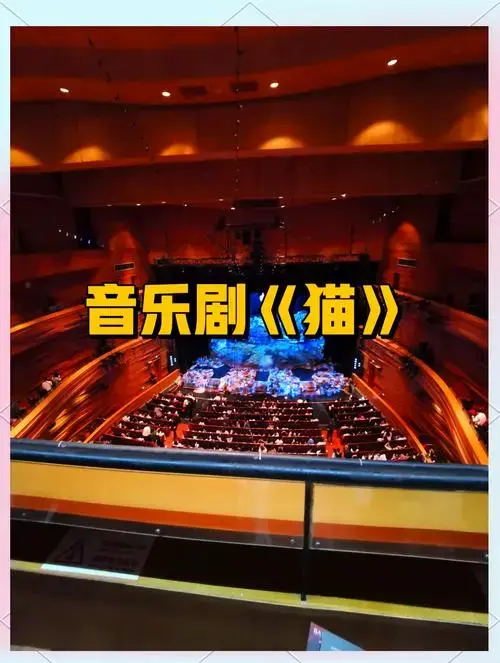 音乐剧《猫》深圳首演观剧体验分享