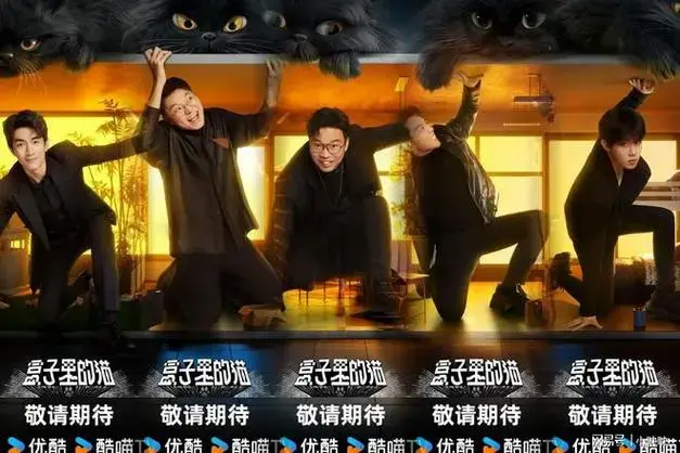 《盒子里的猫》重磅来袭,全新模式备受期待!
