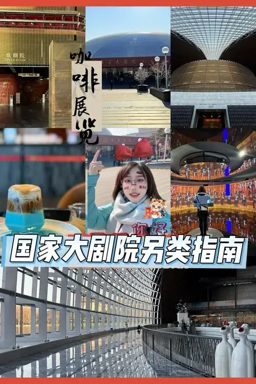 国家大剧院探秘|胡同文化,时代与天鹅湖咖啡🦢