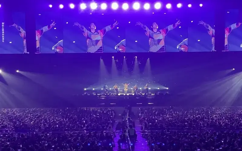 林宥嘉演唱会全场大合唱《说谎》