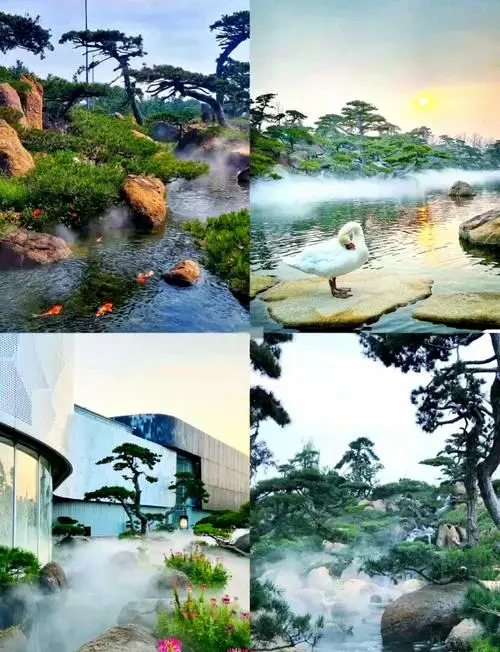 北京天鹅湖上约会的绝佳体验