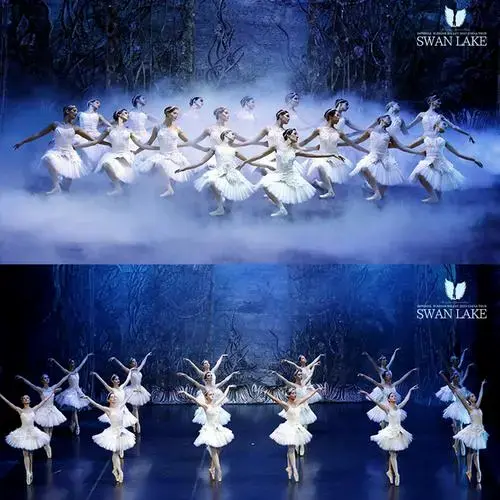 2024芭蕾舞剧《天鹅湖》沈阳站时间票价(演出介绍 购票入口)