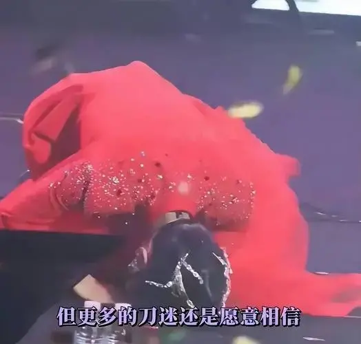 破案了云朵演唱会下跪跪的不是刀郎更不是刀迷而是它