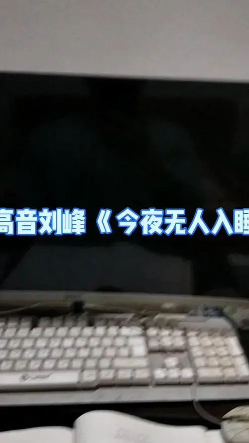 男高音刘峰 《今夜无人入睡》