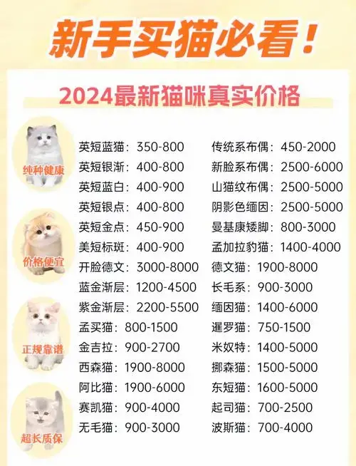 2024猫咪价格表!收藏不亏!