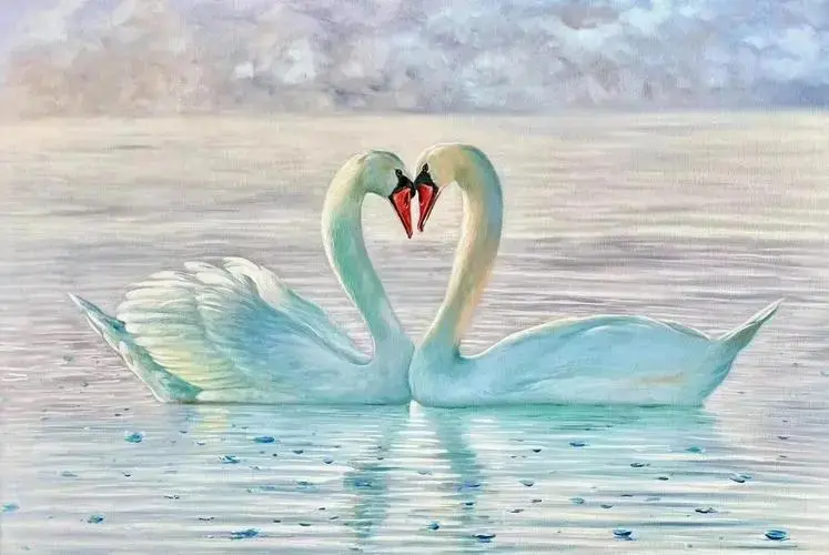 天鹅湖:从文学到艺术的纯洁象征 🦢