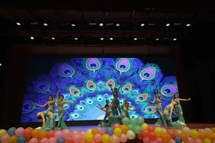 2024年体育文化艺术节开幕式暨专业汇报演出圆满落幕