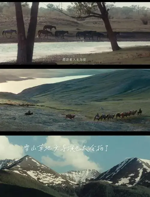 🌾草原与都市的浪漫交融💕