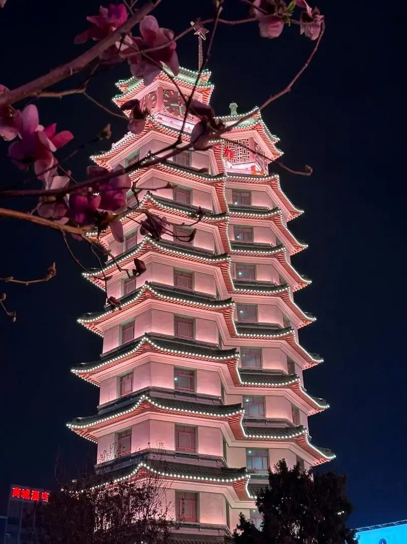 郑州玉兰花开 #二七塔 这是一场 - 抖音