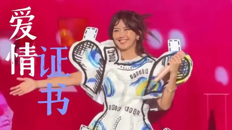 孙燕姿 日落以后演唱会 live 《爱情证书》