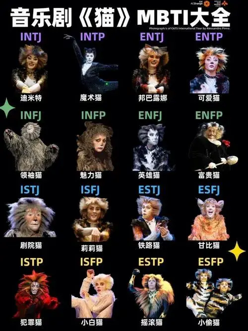二轮开票,原版音乐剧《猫》10月深圳上演_演出_观众_故事