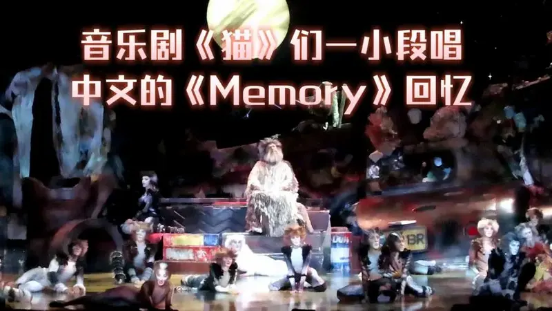 【音乐剧】《猫》们一小段唱中文的《memory》回忆(241121)