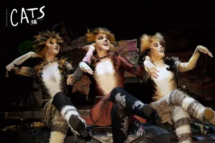 《妈妈咪呀!》明日收官 世界经典原版音乐剧《猫》接棒来郑