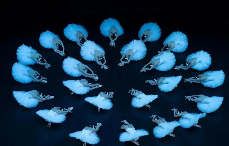 🦢《天鹅湖》经典芭蕾舞剧