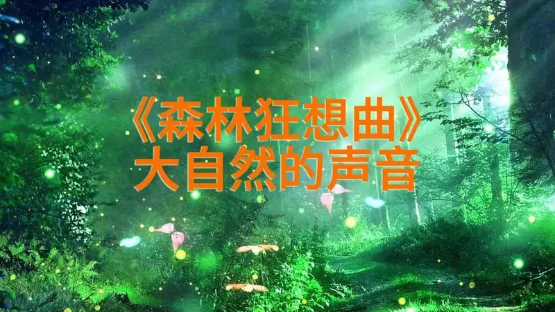 「森林狂想曲」,聆听大自然的声音.
