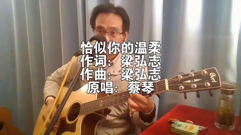 蔡琴经典歌曲《恰似你的温柔》