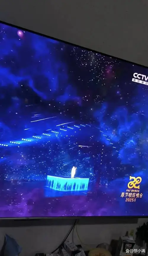 春晚这么大的一个舞台,恐怕只有天后王菲一个人能吼得住吧!