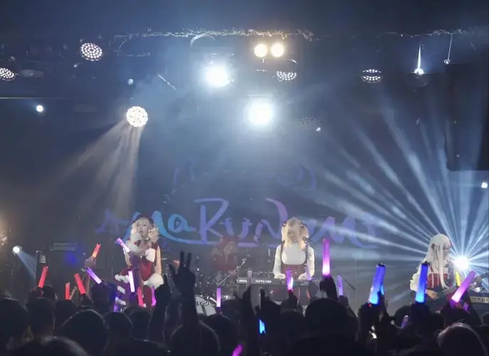 r / roselia|marunomi 马鹿糯米|acg音乐番 live年末特别场 广州 sd