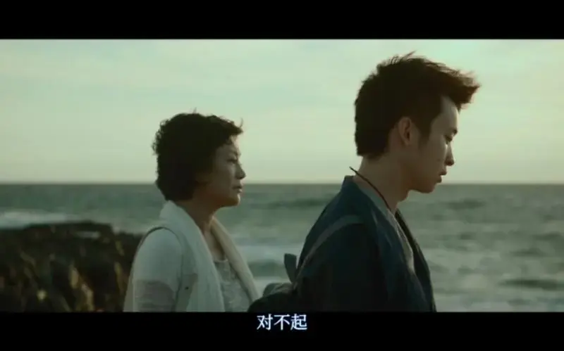 电影《山河故人》片段