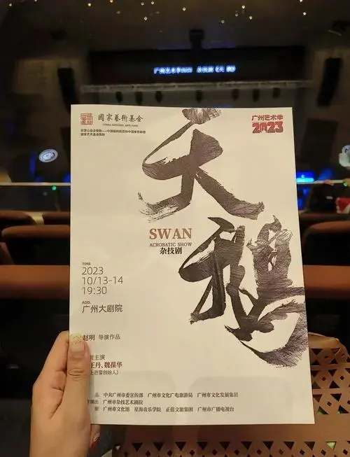 《天鹅》杂技剧,视觉盛宴!