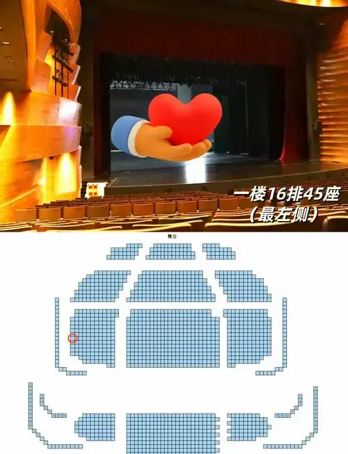 想知道座位视野如何?是坐前排还是后排好?二楼会不会太遥远?