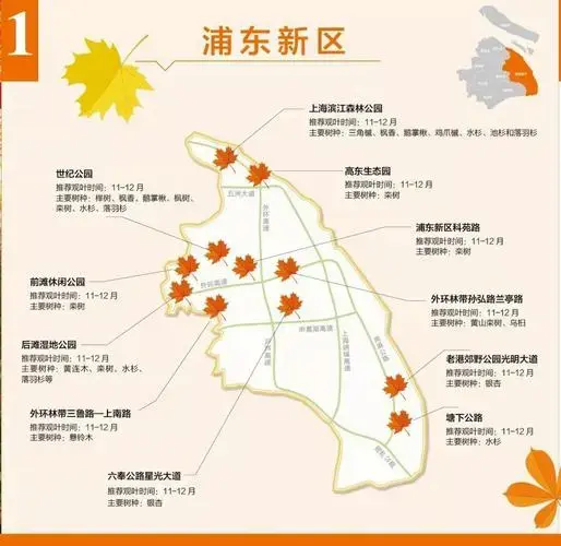 上海郊区赏红叶地图及景点指南_地址