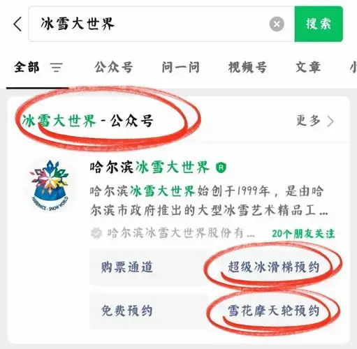 冰雪大世界抢票秘籍🔥