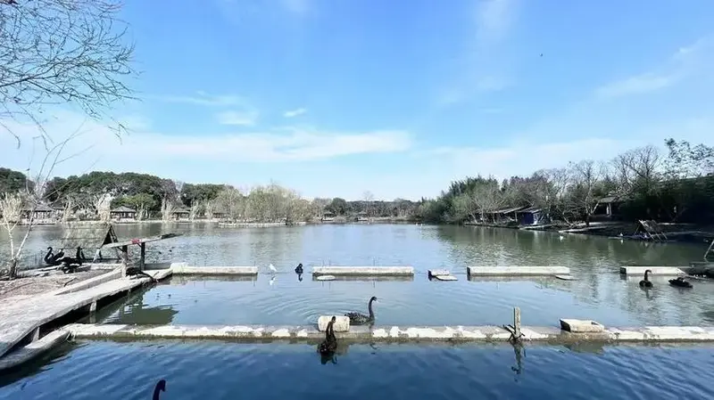 青浦大千天鹅湖庄园:亲子游的完美选择