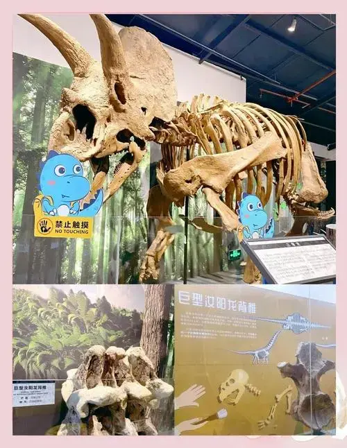 广州恐龙奇遇记:亲子周末新选择