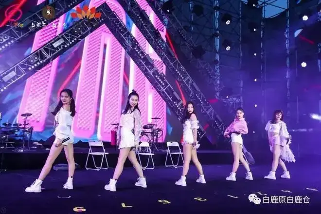 白鹿仓光雕音乐节