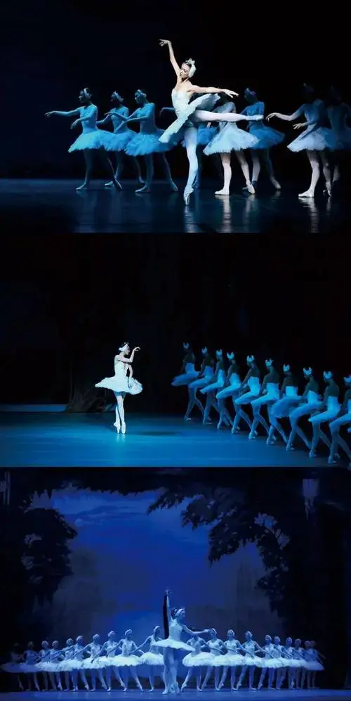 《天鹅湖》2024亚洲巡演震撼来袭!