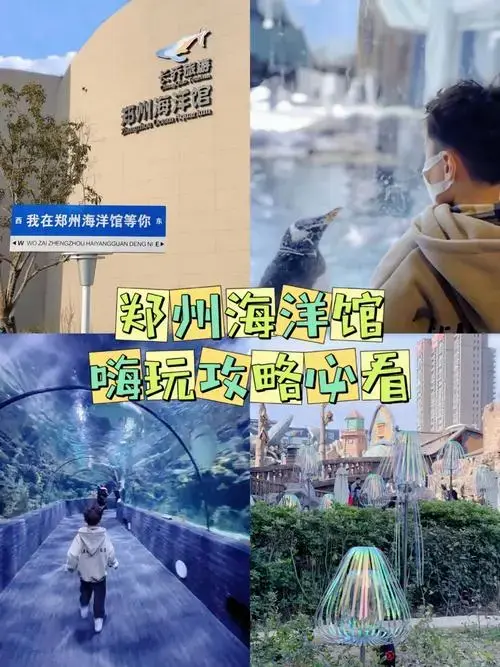 河南遛娃亿定要来的郑州海洋馆不费妈攻略