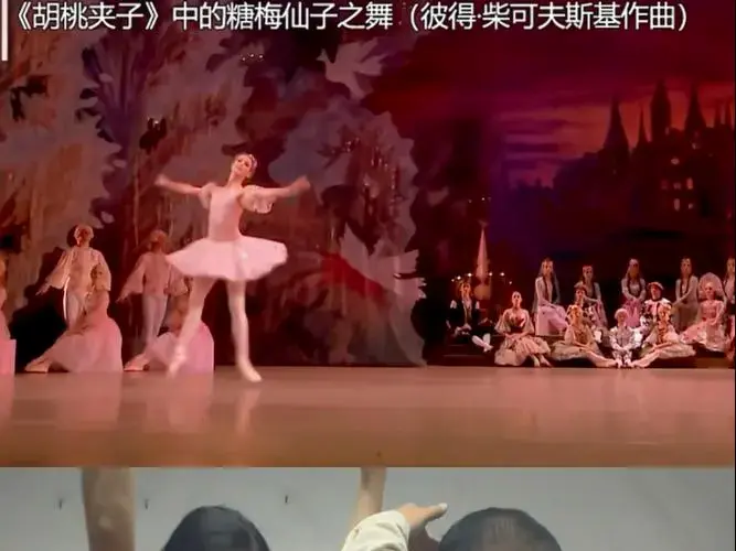 《白天鹅与三只小鸭子》这芭蕾舞启蒙算是成功了吗