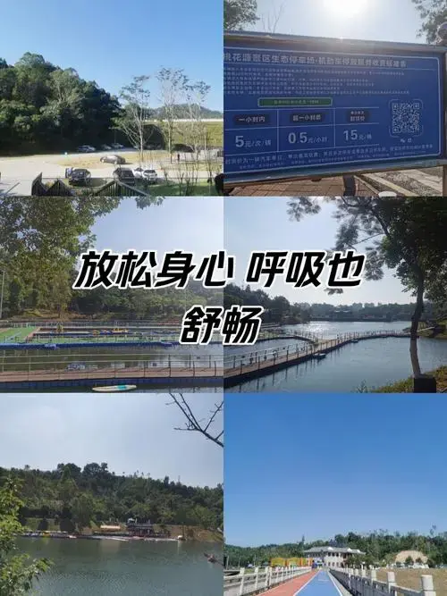 再见桃花源