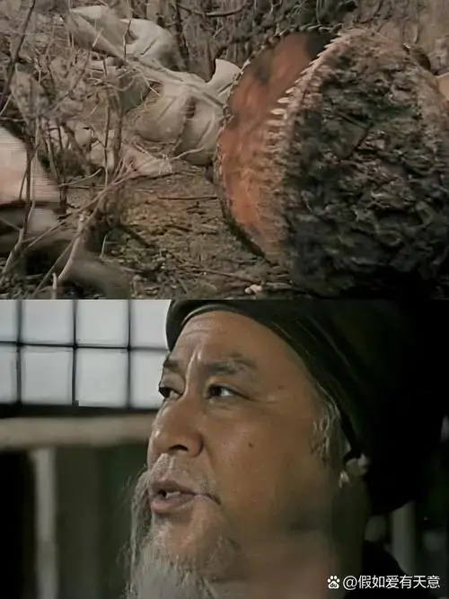 🐼熊猫宝宝的森林大冒险《熊猫历险记》 ✅️类型:剧情 🎬