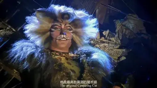 不知道在jellicle cats族群中你pick哪只猫:魅力猫grizabella?