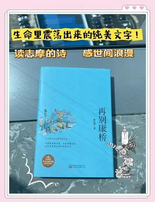 《再别康桥》:浪漫与离别的交响曲 🎶