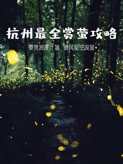杭州周边萤火虫最佳观赏地浪漫追萤攻略
