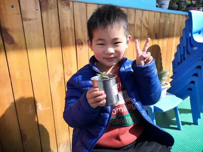创世纪幼儿园爱树护树活动 写美篇我们争做护绿小使者,一起为它们松土