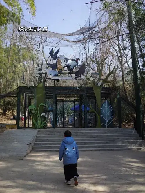 自从武汉动物园关门整修之后,再也没有了近距离带孩子看动物的好去处